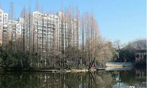 冬日上海公园推荐_上海冬天适合去的公园
