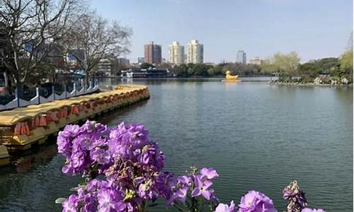 上海长风公园哪个门比较好停车_上海长风公