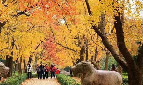 南京秋季旅游攻略大全_南京秋季旅游攻略大