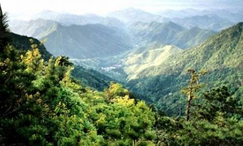 天目山旅游攻略三日游推荐_天目山旅游攻略一天游