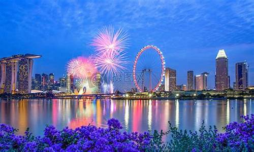 我想春节去新加坡旅游,特地来咨询一下相关情况_春节新加坡旅游攻略