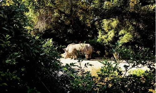 动植物公园建设,动植物公园新地址