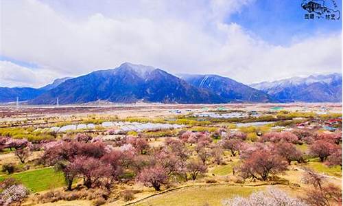 林芝一天旅游攻略_林芝旅游攻略3至4天住宿多少钱啊