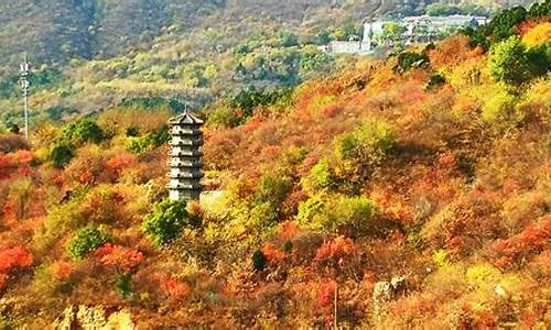 北京西山森林公园联系电话,北京西山森林公园地址