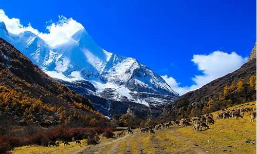 稻城亚丁旅游攻略五日游,稻城亚丁旅游攻略