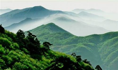 天目山旅游线路,天目山旅游攻略三日游记