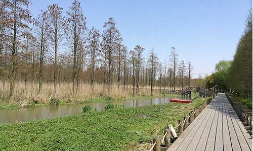 郊野公园面积_长兴岛郊野公园面积