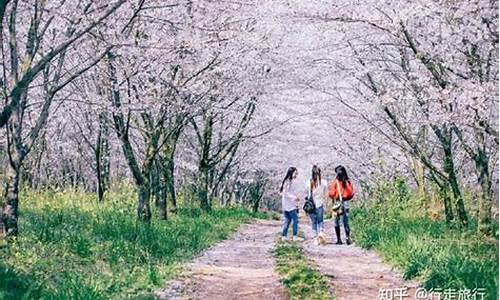 春季旅游攻略景点大全推荐_春季旅游攻略景点大全