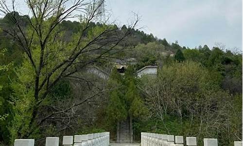 白水寺森林公园桃花开了吗_白水寺森林公园暂停开放