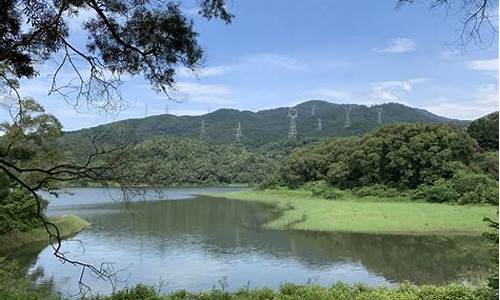 厦门天竺山森林公园鸳鸯溪在哪里,厦门天竺山森林公园鸳鸯溪