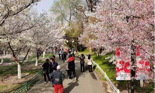 去北京玉渊潭公园怎么坐车,用网上预约门票吗,乘车玉渊潭公园