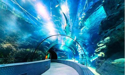 长风公园海洋世界水族馆,长风公园海洋世界水族馆在哪