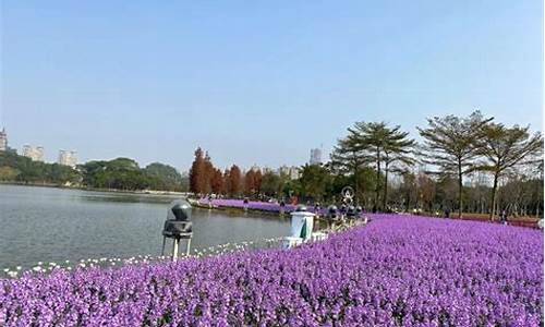 佛山顺峰山公园哪个是正门,佛山顺峰山公园花海