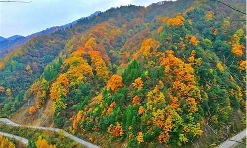 光雾山旅游攻略冬天自驾游路线_光雾山冬季旅游攻略