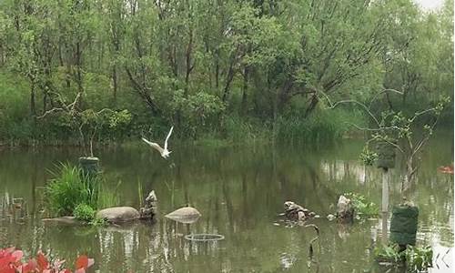 新江湾城湿地公园门票,新江湾湿地公园地址