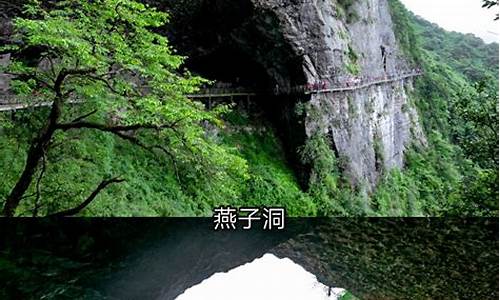 金佛山夏季旅游攻略,金佛山旅游景区