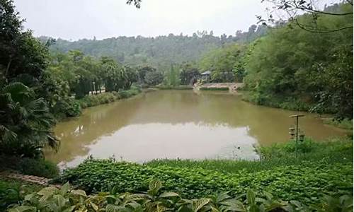 龙岗龙城公园乘车路线,深圳龙岗龙城公园实景地图