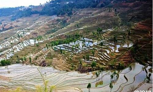 红河景点最值得去的地方有哪些_红河景点风景好的地方