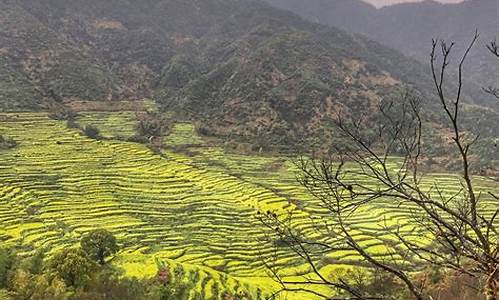 婺源秋季旅游攻略_婺源秋季游玩攻略及路线