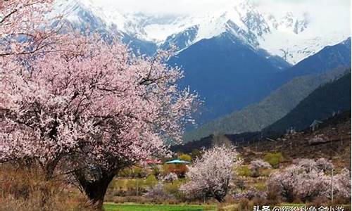 林芝景点海拔多少_林芝旅游海拔