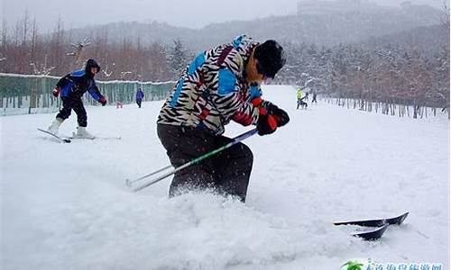 大连劳动公园冰雪世界_旅游滑雪大连劳动公园