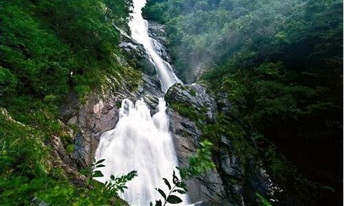 天目山旅游攻略一天游推荐_天目山旅游攻略一天游推荐