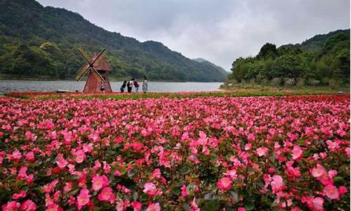 石门森林公园天池花海,石门森林公园天池花海8月有花吗