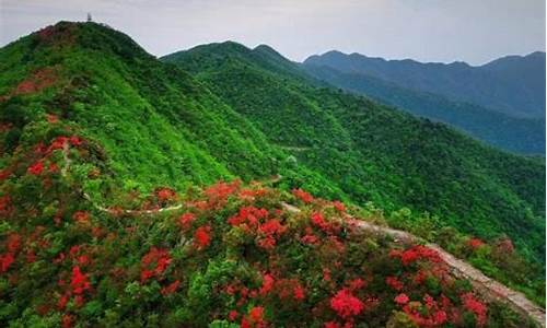 大丰旅游景点大全-大丰旅游景点大全攻略