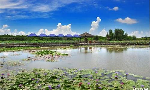 广州市南沙湿地公园好玩吗-广州市南沙湿地公园