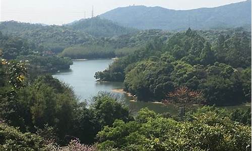 广州天鹿湖森林公园开放时间_苹果耳机线如